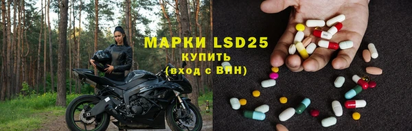 ешки Белокуриха