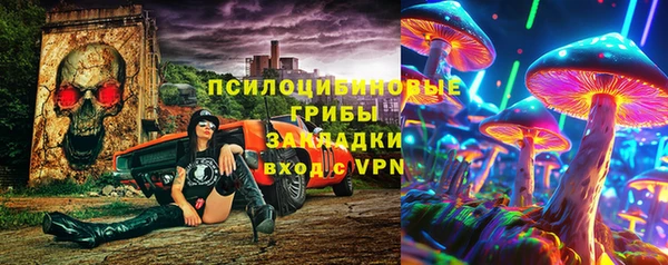 крисы Беломорск